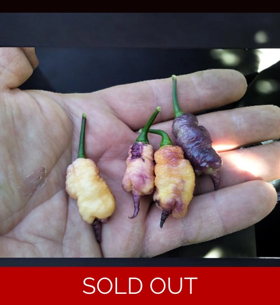 Reaper Pink peach  (10+seeds)